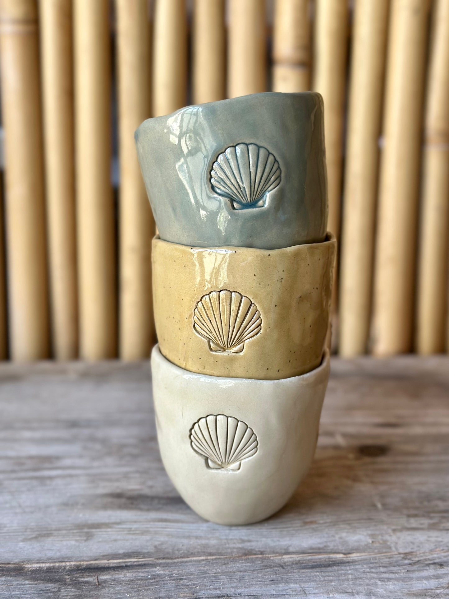Mugg Seashell