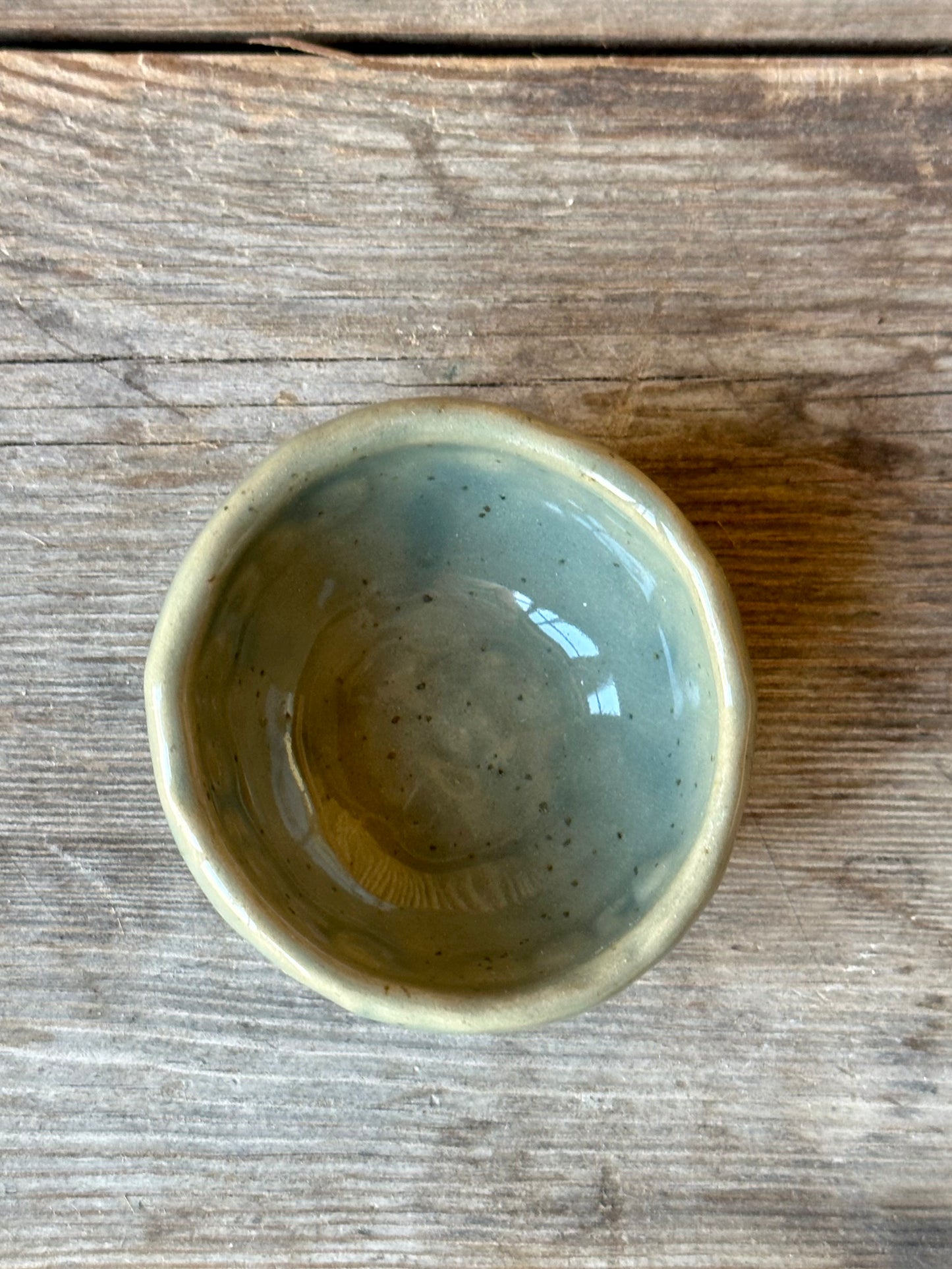 Skål Seashell