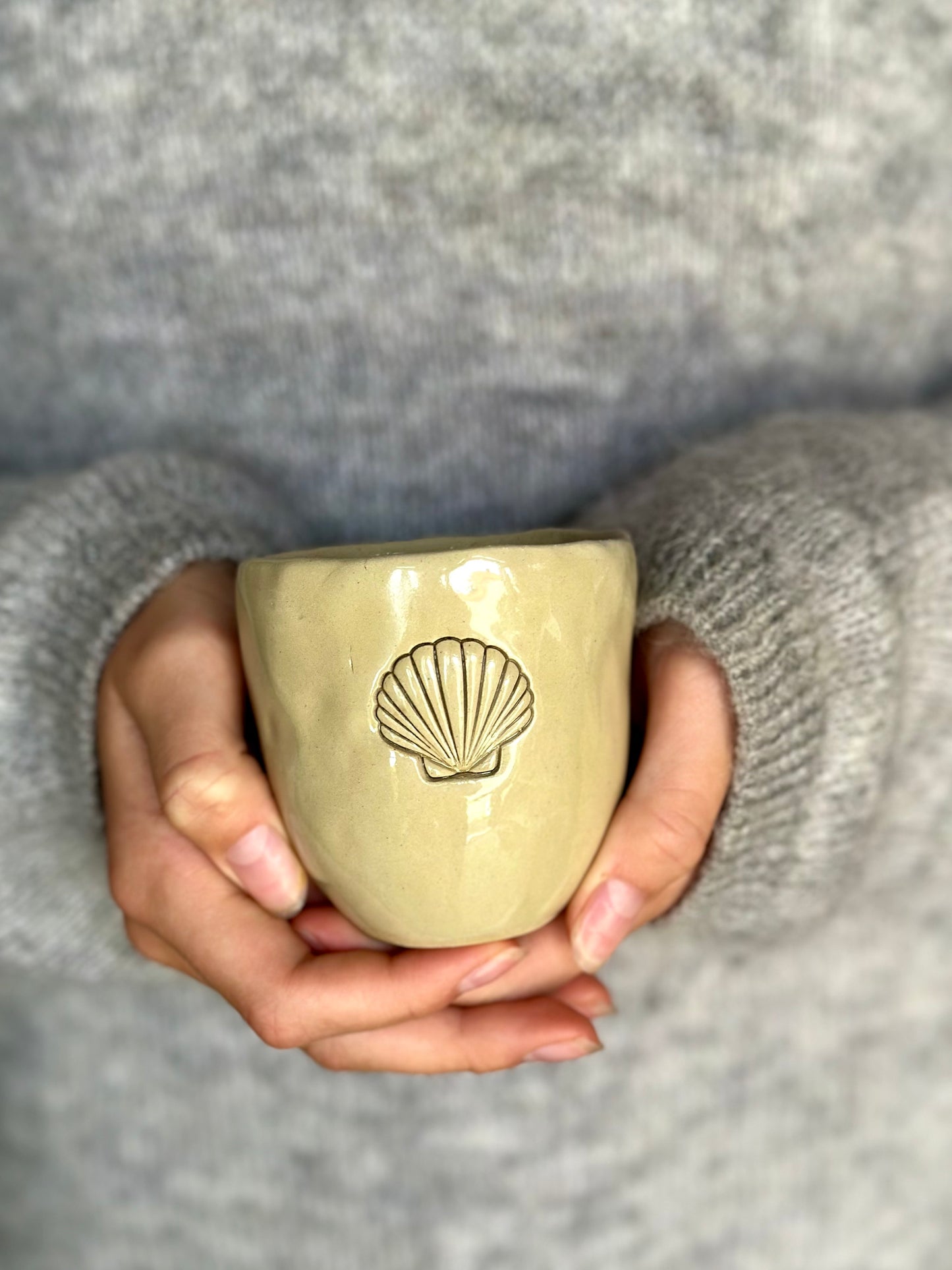 Mugg Seashell