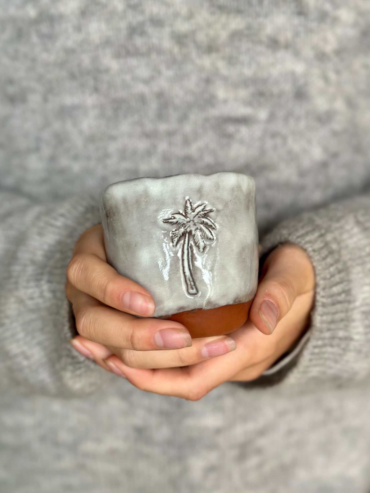 Mugg Palm