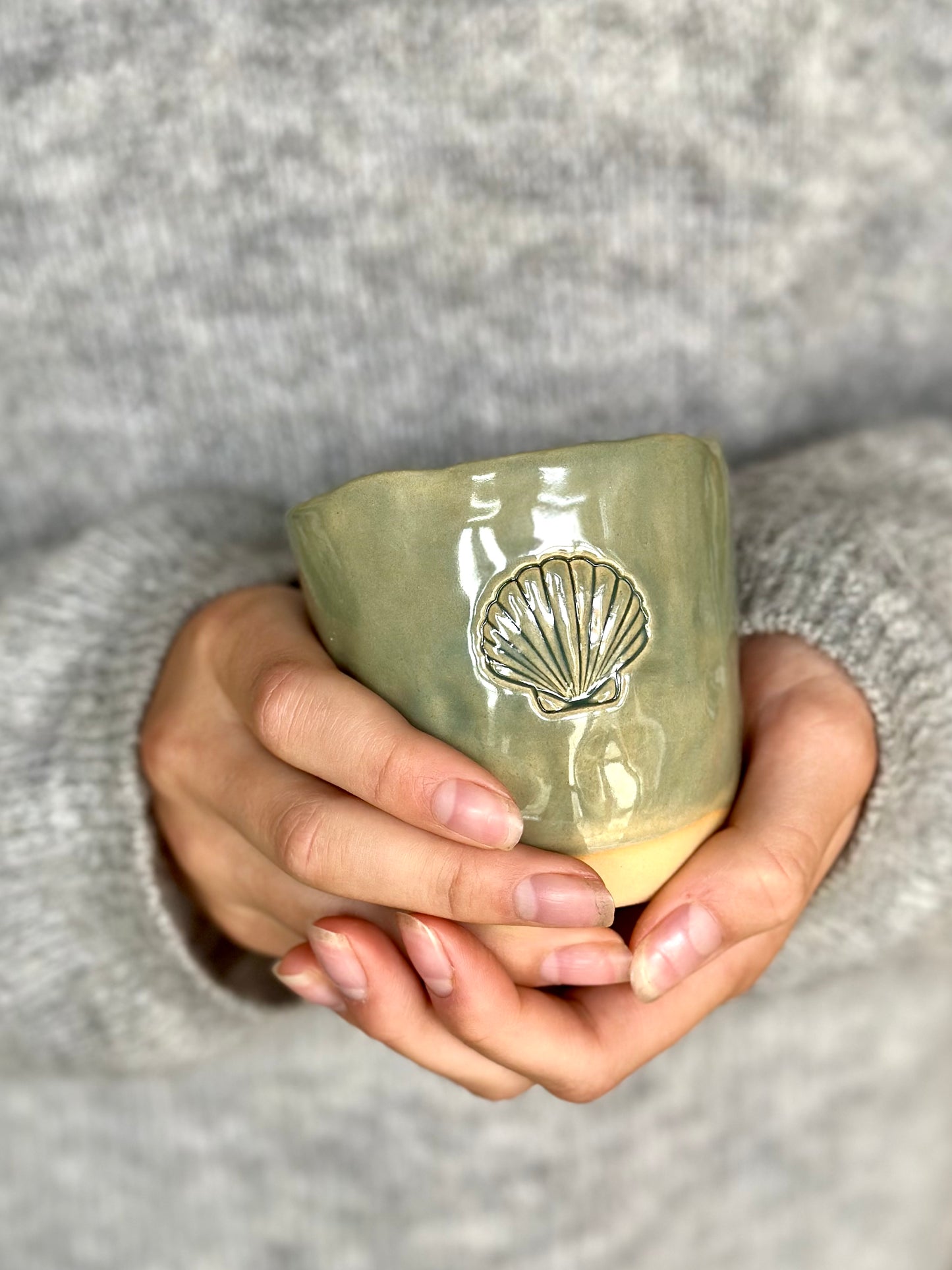 Mugg Seashell