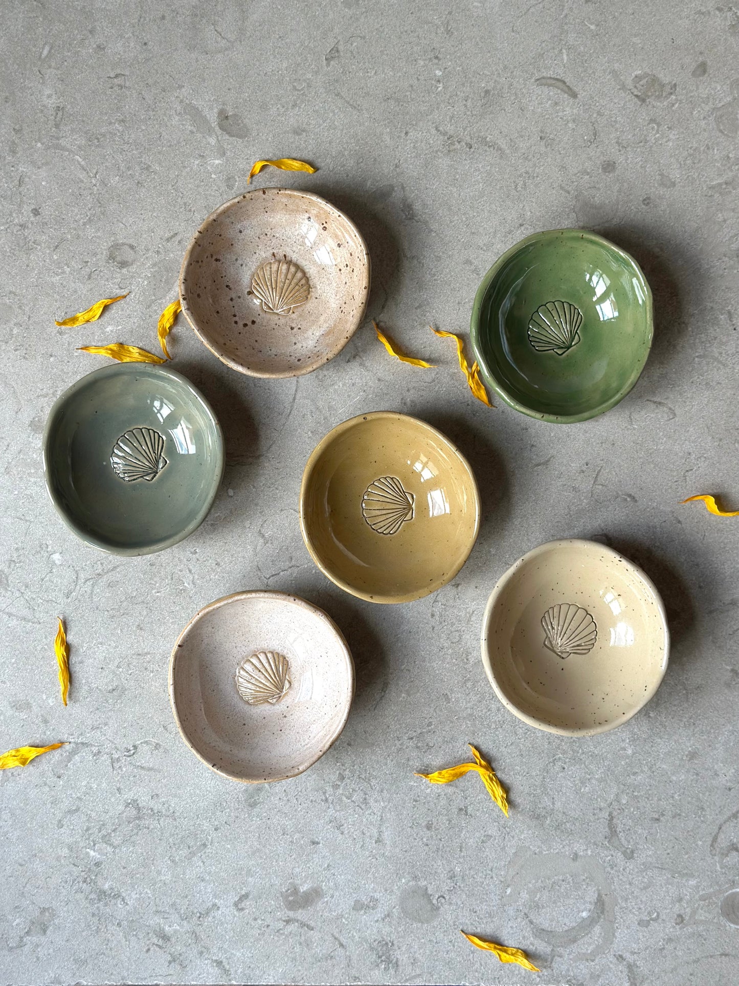 Bowl Seashell