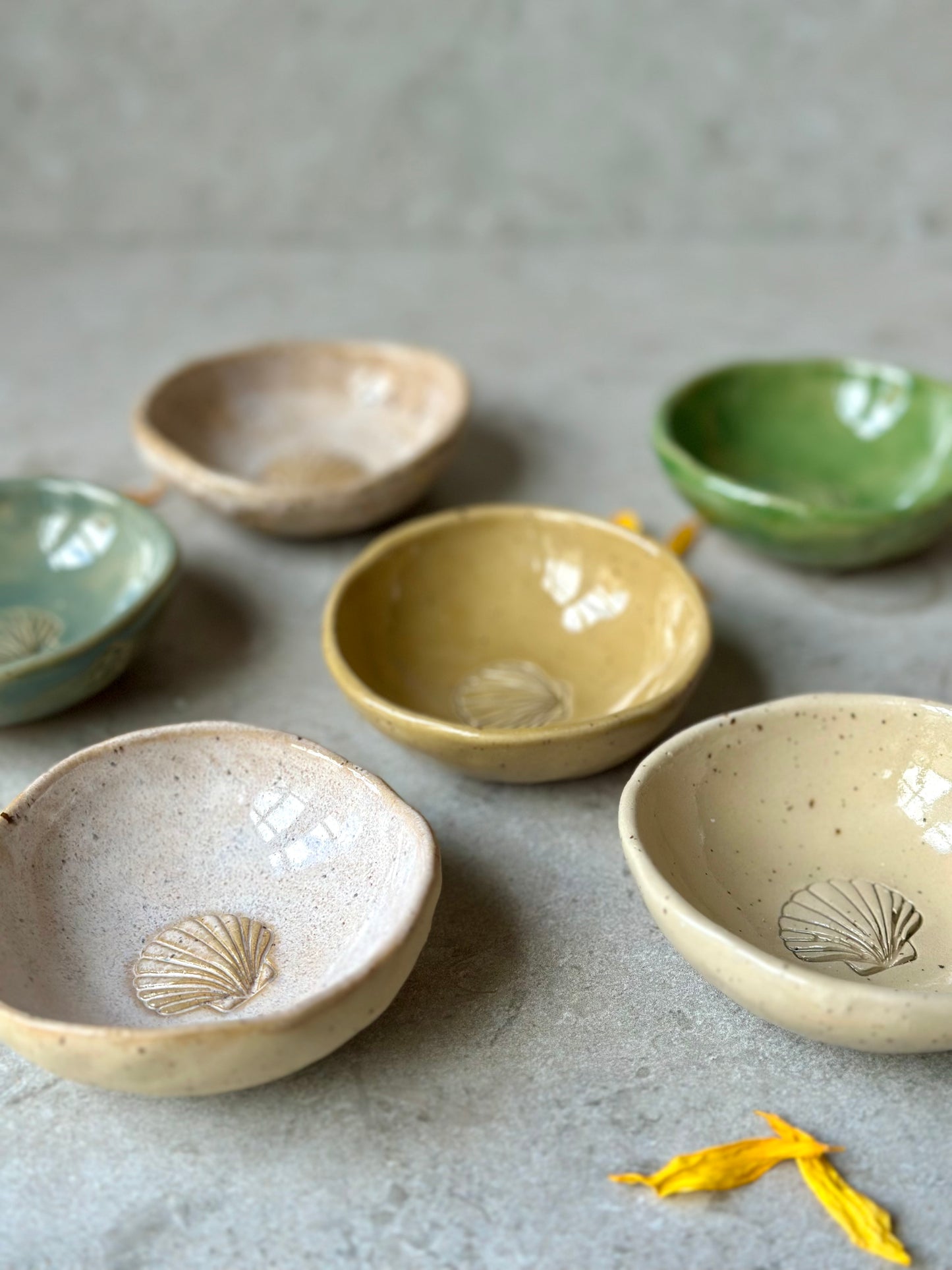 Bowl Seashell