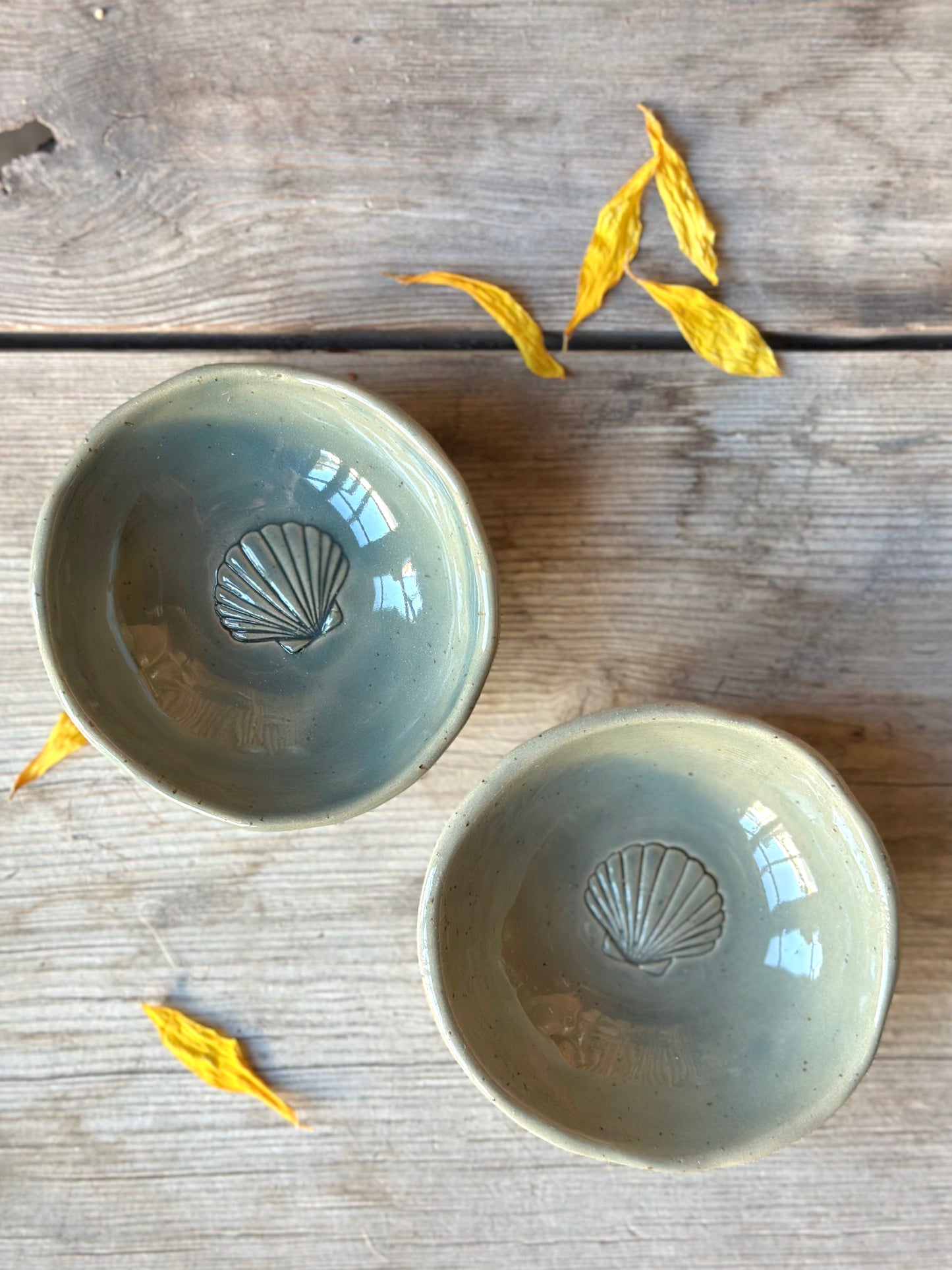 Bowl Seashell