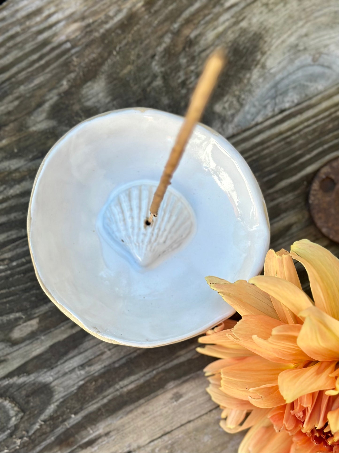 Rökelsehållare Seashell