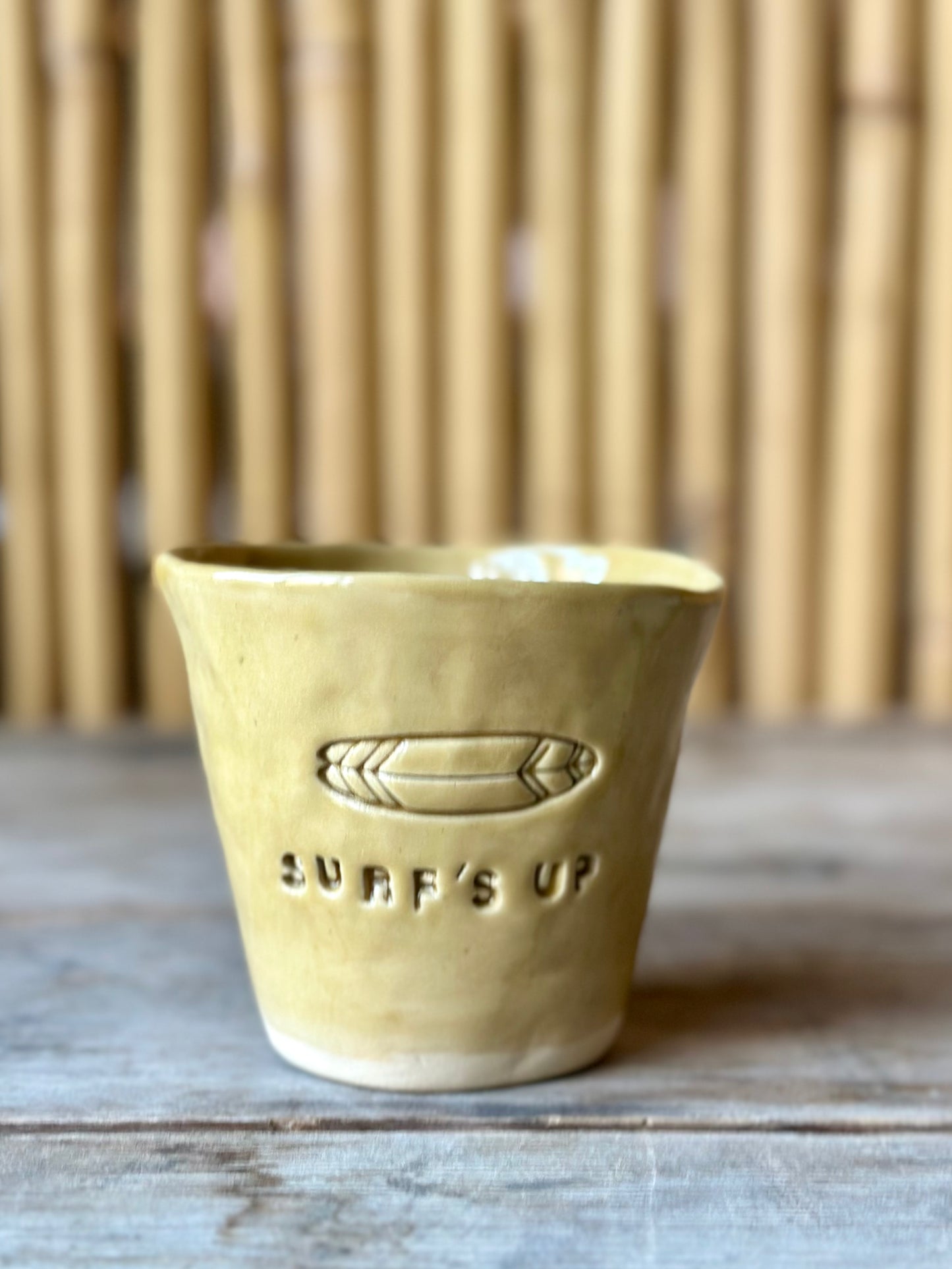 Mugg Surf's up
