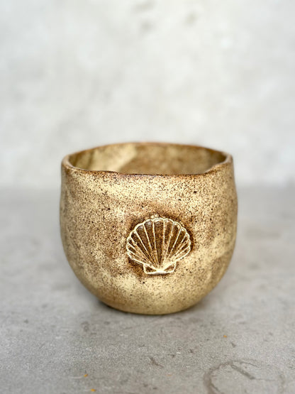 Mugg Morocco