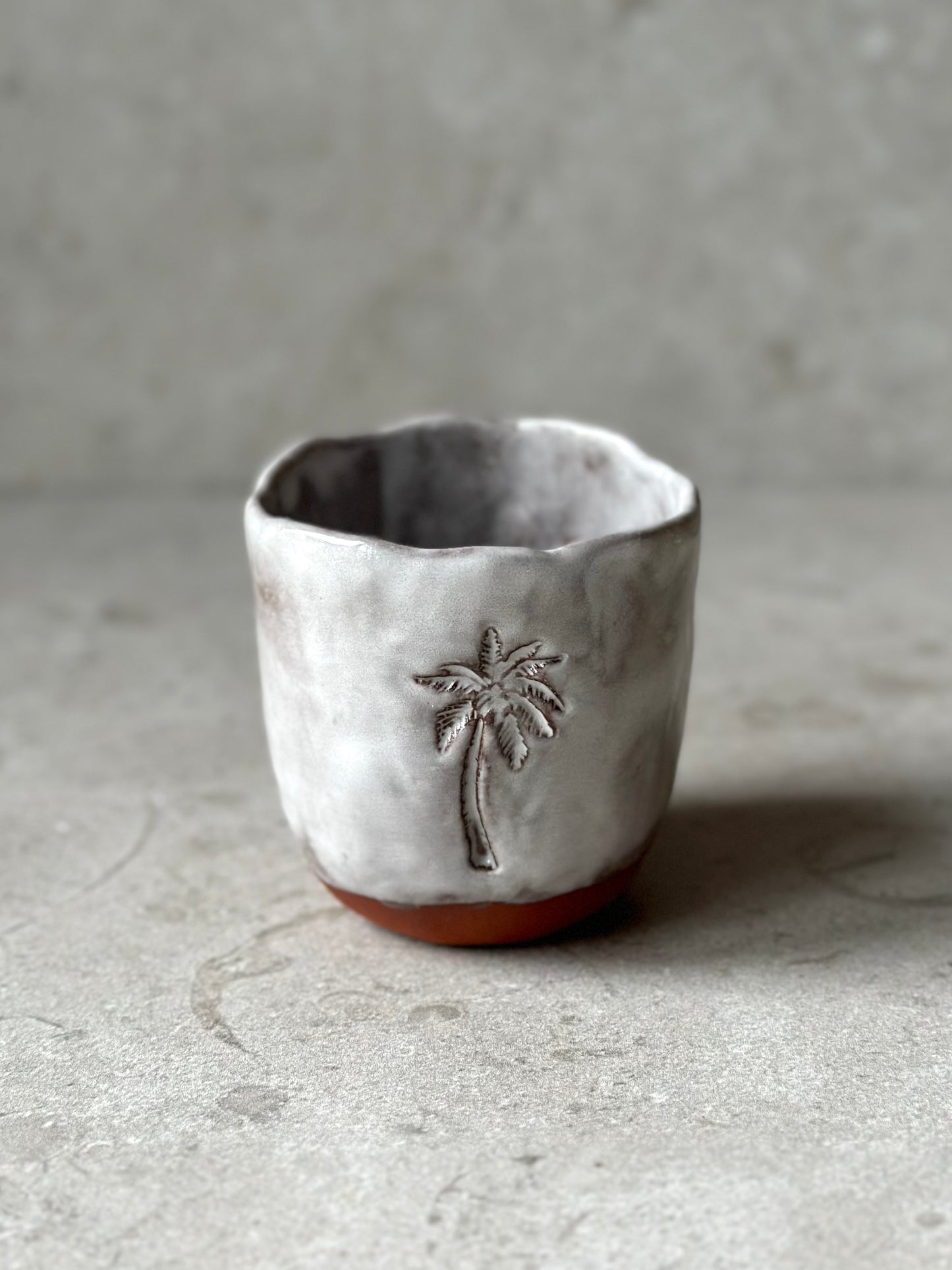 Mugg Palm