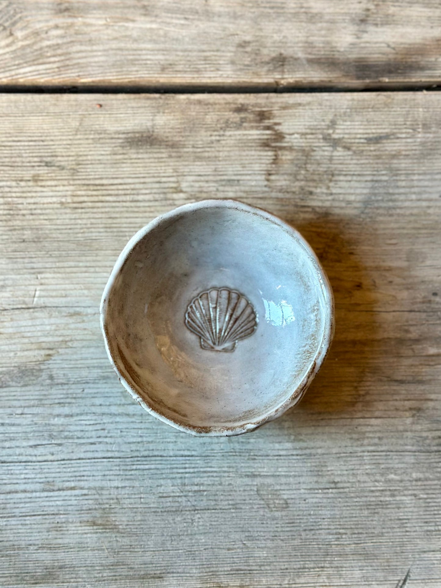 Skål Seashell