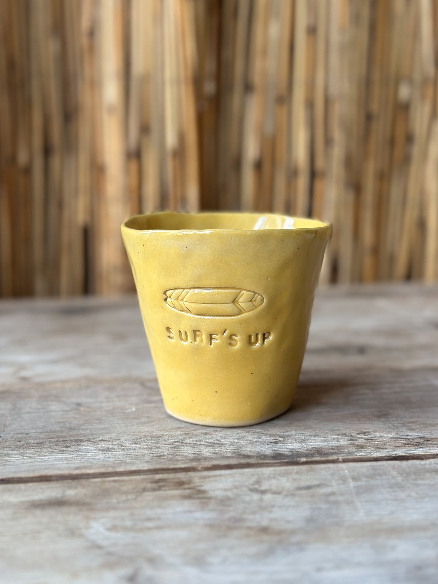 Mugg Surf's up